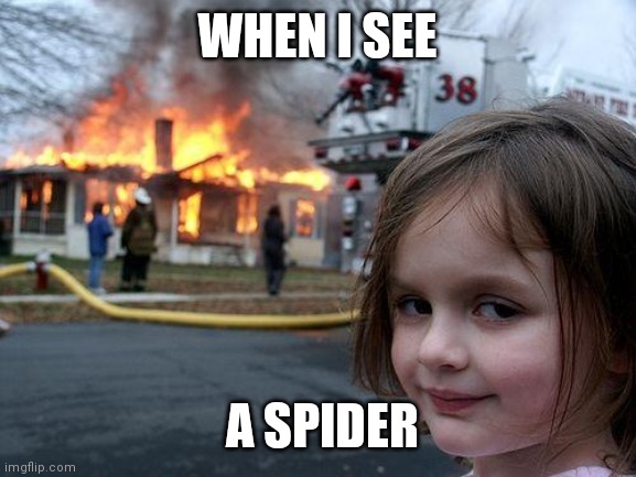 Disaster Girl | WHEN I SEE; A SPIDER | image tagged in memes,disaster girl | made w/ Imgflip meme maker
