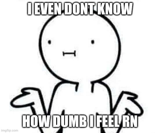 I dont know | I EVEN DONT KNOW HOW DUMB I FEEL RN | image tagged in i dont know | made w/ Imgflip meme maker