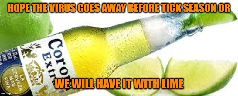 HOPE THE VIRUS GOES AWAY BEFORE TICK SEASON OR; WE WILL HAVE IT WITH LIME | image tagged in corona | made w/ Imgflip meme maker