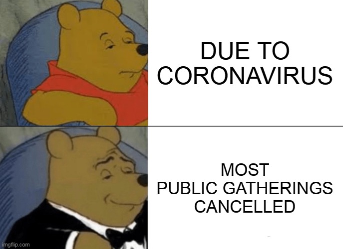 Tuxedo Winnie The Pooh | DUE TO CORONAVIRUS; MOST PUBLIC GATHERINGS CANCELLED | image tagged in memes,tuxedo winnie the pooh | made w/ Imgflip meme maker