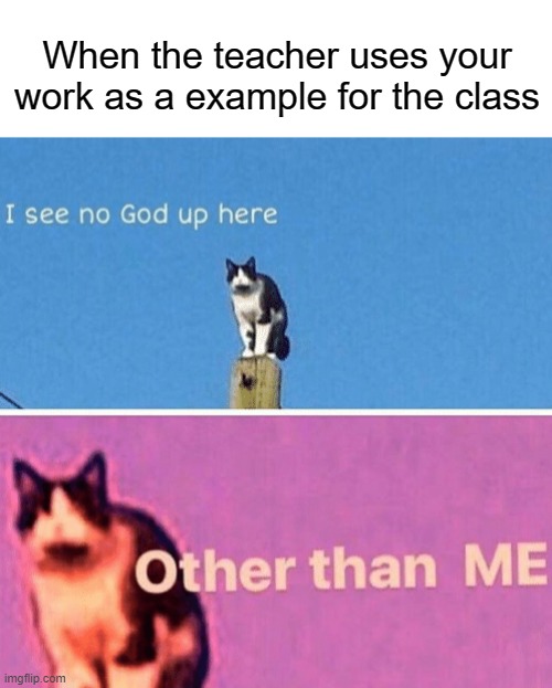 The cat god | When the teacher uses your work as a example for the class | image tagged in hail pole cat,god,funny,memes,cats,teacher | made w/ Imgflip meme maker