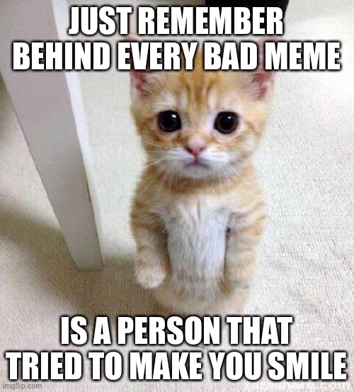 Cute Cat Meme | JUST REMEMBER BEHIND EVERY BAD MEME; IS A PERSON THAT TRIED TO MAKE YOU SMILE | image tagged in memes,cute cat | made w/ Imgflip meme maker
