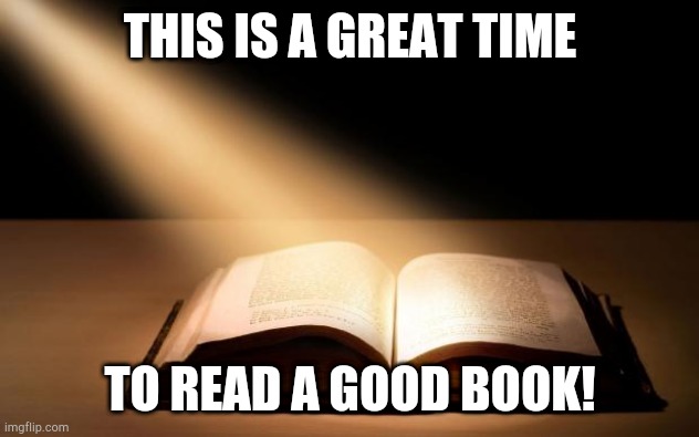 Bible | THIS IS A GREAT TIME; TO READ A GOOD BOOK! | image tagged in bible | made w/ Imgflip meme maker