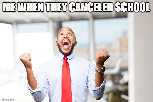 very happy man | ME WHEN THEY CANCELED SCHOOL | image tagged in very happy man | made w/ Imgflip meme maker