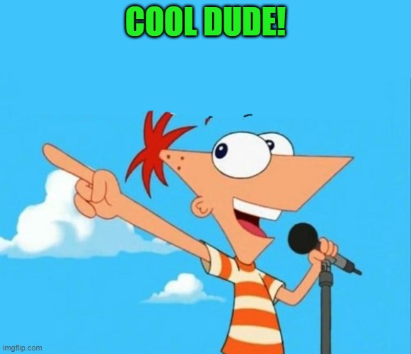 Phineas and ferb | COOL DUDE! | image tagged in phineas and ferb | made w/ Imgflip meme maker