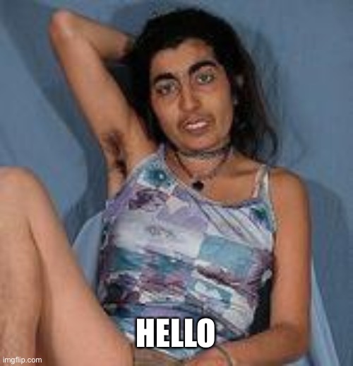Ugly woman 2 | HELLO | image tagged in ugly woman 2 | made w/ Imgflip meme maker
