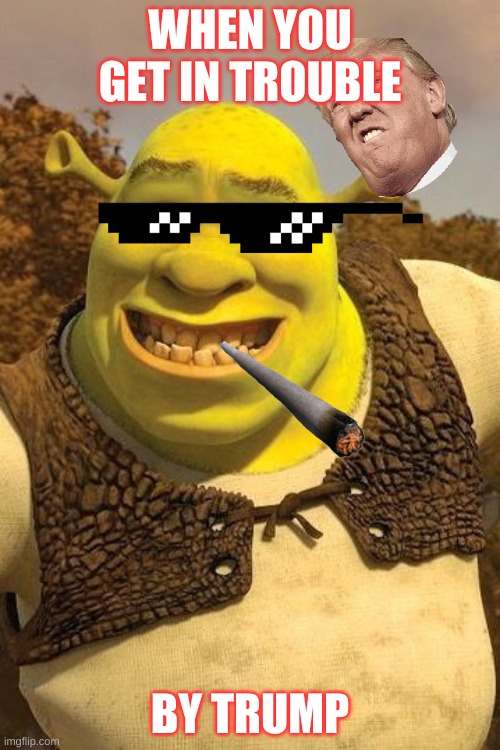 Smiling Shrek | WHEN YOU GET IN TROUBLE; BY TRUMP | image tagged in smiling shrek | made w/ Imgflip meme maker