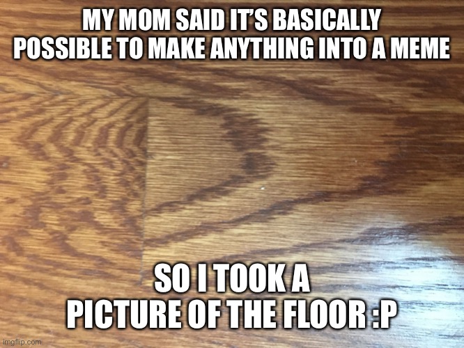 fLoOr | MY MOM SAID IT’S BASICALLY POSSIBLE TO MAKE ANYTHING INTO A MEME; SO I TOOK A PICTURE OF THE FLOOR :P | image tagged in floor | made w/ Imgflip meme maker