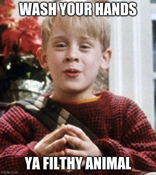 Kevin Home Alone | WASH YOUR HANDS; YA FILTHY ANIMAL | image tagged in kevin home alone | made w/ Imgflip meme maker