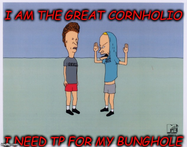 I AM THE GREAT CORNHOLIO; I NEED TP FOR MY BUNGHOLE | image tagged in tp,coronavirus,beavis and butthead,flu | made w/ Imgflip meme maker