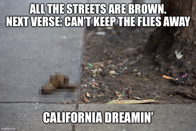 San Francisco street mess | ALL THE STREETS ARE BROWN. NEXT VERSE: CAN’T KEEP THE FLIES AWAY; CALIFORNIA DREAMIN’ | image tagged in san francisco street mess | made w/ Imgflip meme maker