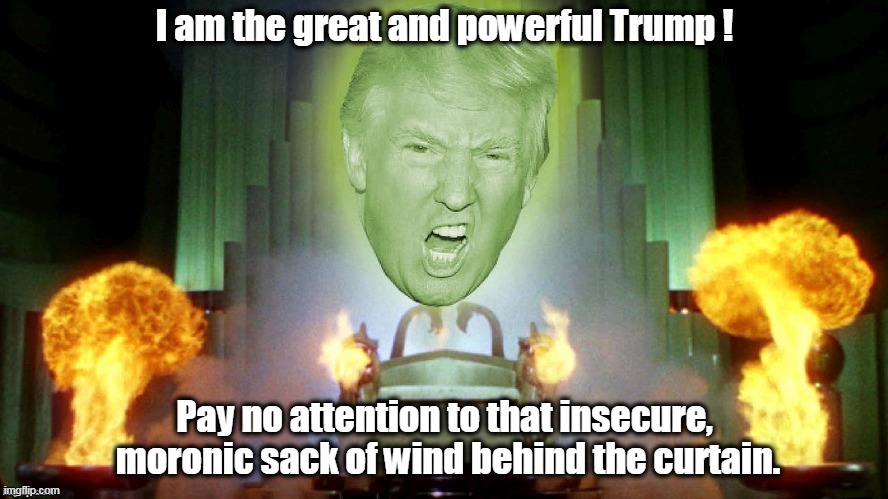 image tagged in trump,wizard of oz,moron | made w/ Imgflip meme maker