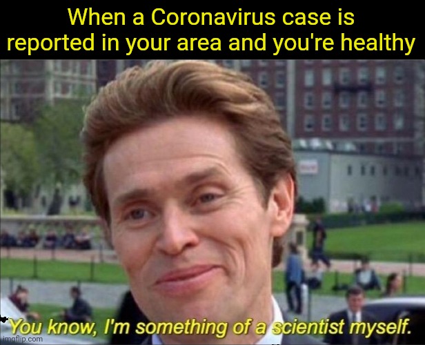 You know, I'm something of a scientist myself | When a Coronavirus case is reported in your area and you're healthy | image tagged in you know i'm something of a scientist myself | made w/ Imgflip meme maker