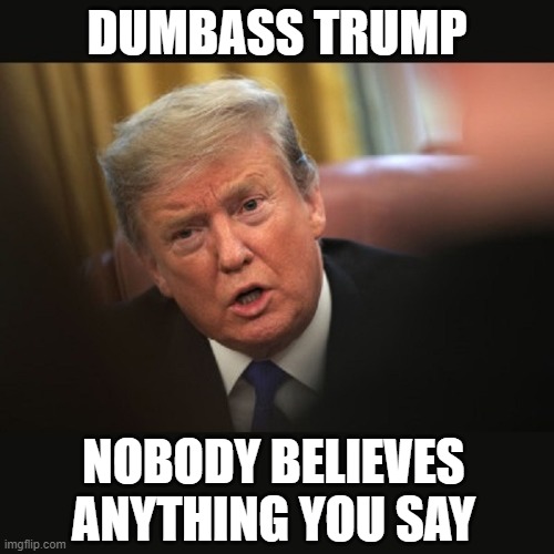 Liar and Fool | DUMBASS TRUMP; NOBODY BELIEVES ANYTHING YOU SAY | image tagged in impeached trump,coronavirus,donald trump is an idiot | made w/ Imgflip meme maker
