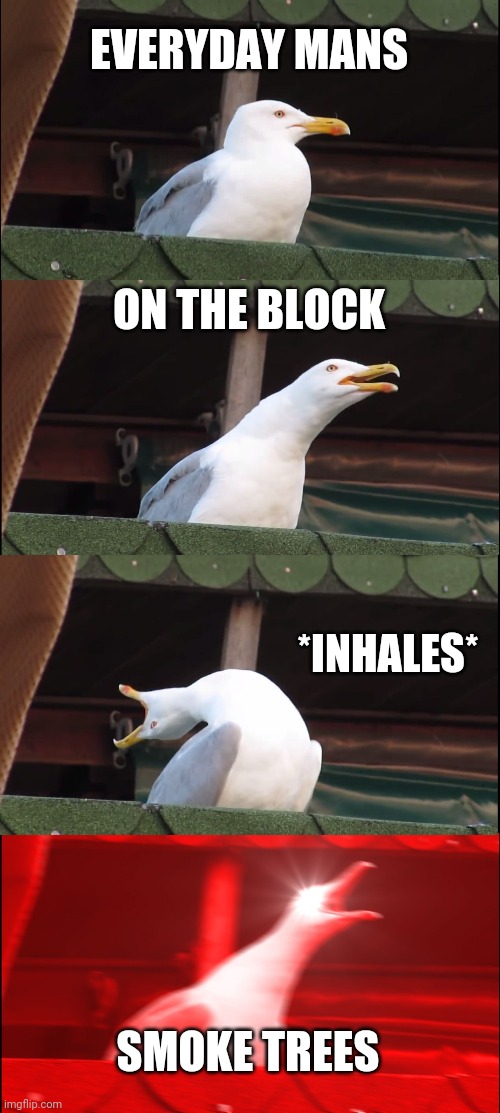 Inhaling Seagull Meme | EVERYDAY MANS ON THE BLOCK *INHALES* SMOKE TREES | image tagged in memes,inhaling seagull | made w/ Imgflip meme maker