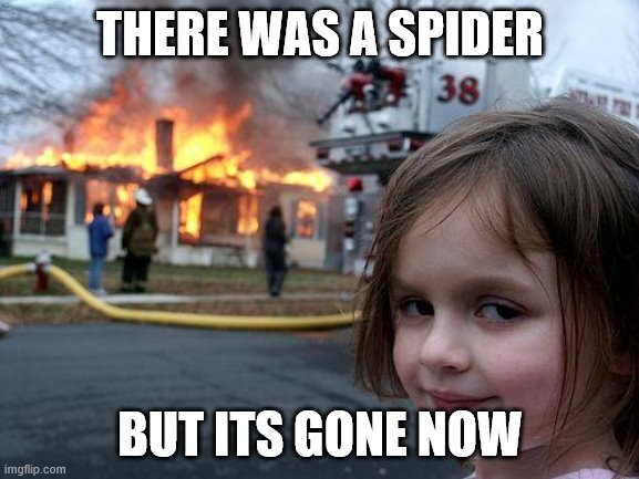 Disaster Girl | THERE WAS A SPIDER; BUT ITS GONE NOW | image tagged in memes,disaster girl | made w/ Imgflip meme maker