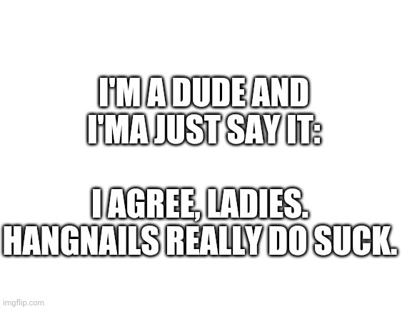 Blank White Template | I'M A DUDE AND I'MA JUST SAY IT:; I AGREE, LADIES. HANGNAILS REALLY DO SUCK. | image tagged in blank white template | made w/ Imgflip meme maker