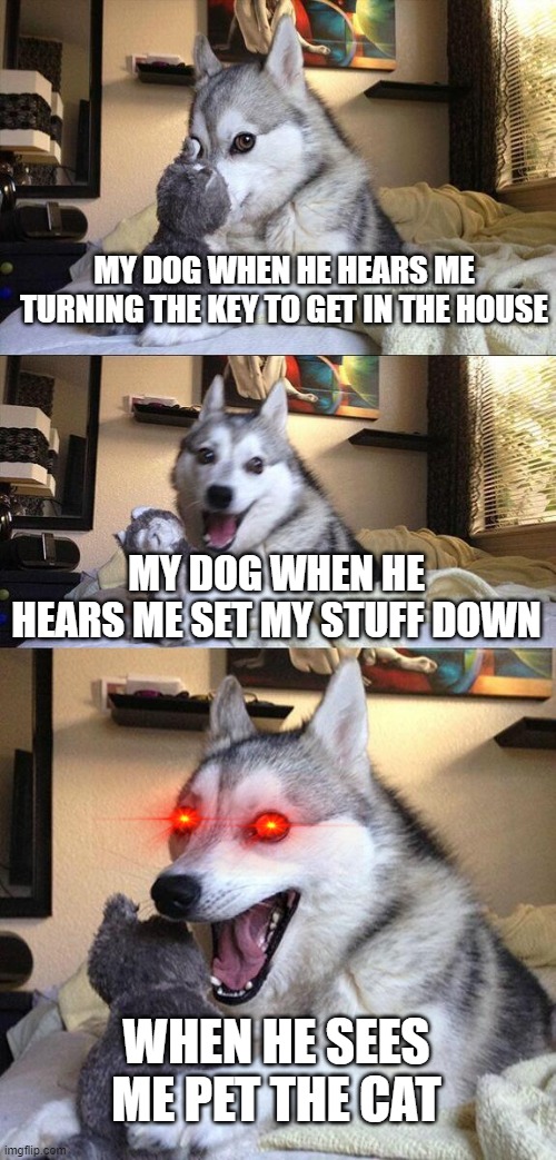 Bad Pun Dog Meme | MY DOG WHEN HE HEARS ME TURNING THE KEY TO GET IN THE HOUSE; MY DOG WHEN HE HEARS ME SET MY STUFF DOWN; WHEN HE SEES ME PET THE CAT | image tagged in memes,bad pun dog | made w/ Imgflip meme maker
