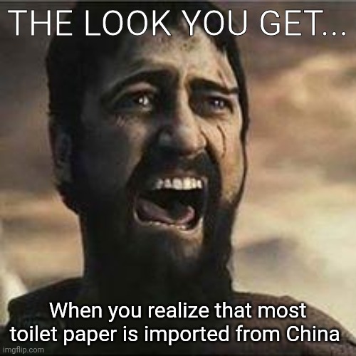 Confused Screaming | THE LOOK YOU GET... When you realize that most toilet paper is imported from China | image tagged in confused screaming | made w/ Imgflip meme maker