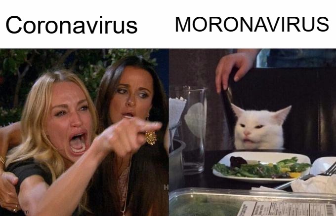 Woman Yelling At Cat | Coronavirus; MORONAVIRUS | image tagged in memes,woman yelling at cat | made w/ Imgflip meme maker