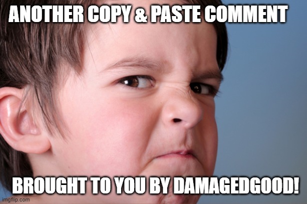 ANOTHER COPY & PASTE COMMENT BROUGHT TO YOU BY DAMAGEDGOOD! | made w/ Imgflip meme maker