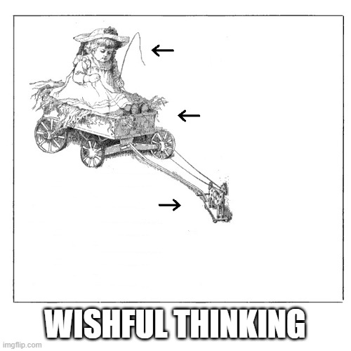 Wishful Thinking | WISHFUL THINKING | image tagged in wishful thinking | made w/ Imgflip meme maker