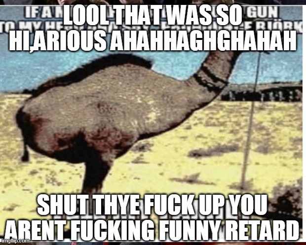 s | LOOL THAT WAS SO HI,ARIOUS AHAHHAGHGHAHAH; SHUT THYE FUCK UP YOU ARENT FUCKING FUNNY RETARD | image tagged in first world problems,one does not simply,pie charts,memes,the most interesting man in the world,grumpy cat | made w/ Imgflip meme maker