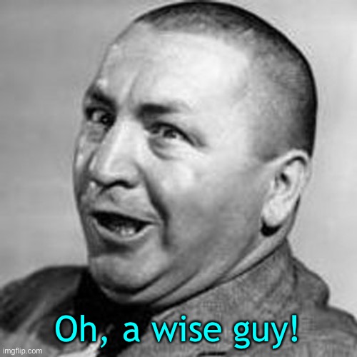 Curly | Oh, a wise guy! | image tagged in curly | made w/ Imgflip meme maker