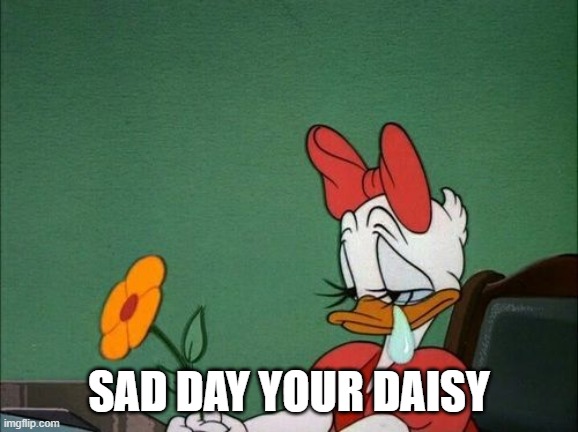 Sad Daisy Duck | SAD DAY YOUR DAISY | image tagged in sad daisy duck | made w/ Imgflip meme maker