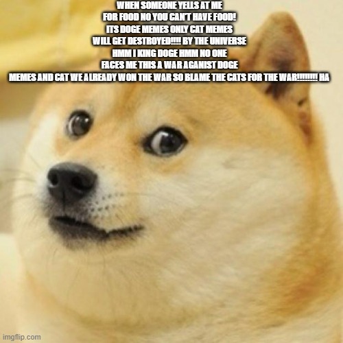 fireeeeee Doge Meme | WHEN SOMEONE YELLS AT ME FOR FOOD NO YOU CAN'T HAVE FOOD! ITS DOGE MEMES ONLY CAT MEMES WILL GET DESTROYED!!!! BY THE UNIVERSE HMM I KING DOGE HMM NO ONE FACES ME THIS A WAR AGANIST DOGE MEMES AND CAT WE ALREADY WON THE WAR SO BLAME THE CATS FOR THE WAR!!!!!!!! HA | image tagged in wow doge | made w/ Imgflip meme maker