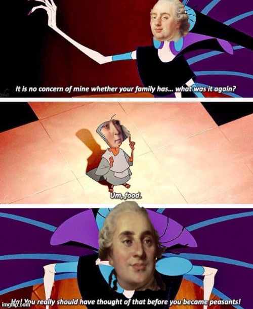 Yzma Louis | image tagged in history,france | made w/ Imgflip meme maker