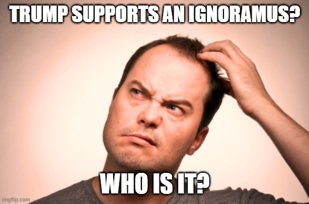 puzzled man | TRUMP SUPPORTS AN IGNORAMUS? WHO IS IT? | image tagged in puzzled man | made w/ Imgflip meme maker