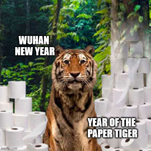 Wuhan New Year | WUHAN 
NEW YEAR; YEAR OF THE 
PAPER TIGER | image tagged in covid-19 | made w/ Imgflip meme maker