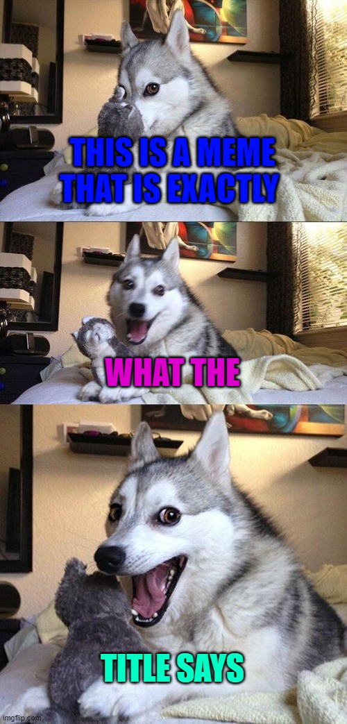 Bad Pun Dog Meme | THIS IS A MEME THAT IS EXACTLY; WHAT THE; TITLE SAYS | image tagged in memes,bad pun dog | made w/ Imgflip meme maker