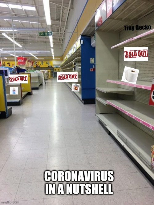 Coronavirus in a nutshell | Tiny Gecko; CORONAVIRUS IN A NUTSHELL | image tagged in covid-19,corona,coronavirus,corona virus,in a nutshell,nutshell | made w/ Imgflip meme maker
