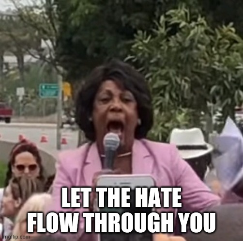 Maxine Waters | LET THE HATE FLOW THROUGH YOU | image tagged in maxine waters | made w/ Imgflip meme maker