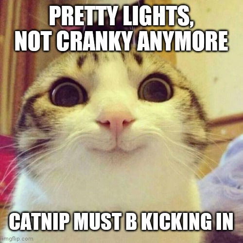 Smiling Cat | PRETTY LIGHTS, NOT CRANKY ANYMORE; CATNIP MUST B KICKING IN | image tagged in memes,smiling cat | made w/ Imgflip meme maker