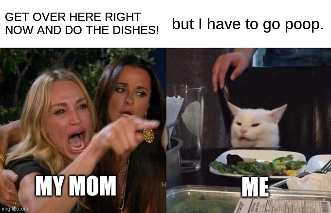 Woman Yelling At Cat | GET OVER HERE RIGHT NOW AND DO THE DISHES! but I have to go poop. MY MOM; ME | image tagged in memes,woman yelling at cat | made w/ Imgflip meme maker