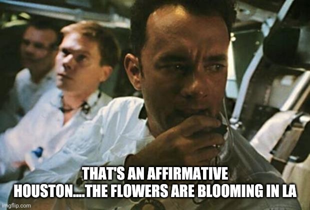 Tom Hanks Apollo 13 | THAT'S AN AFFIRMATIVE HOUSTON....THE FLOWERS ARE BLOOMING IN LA | image tagged in tom hanks apollo 13 | made w/ Imgflip meme maker