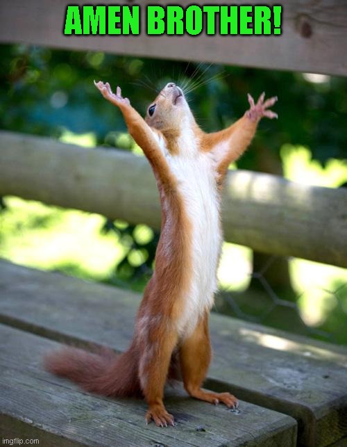 Praise Squirrel | AMEN BROTHER! | image tagged in praise squirrel | made w/ Imgflip meme maker