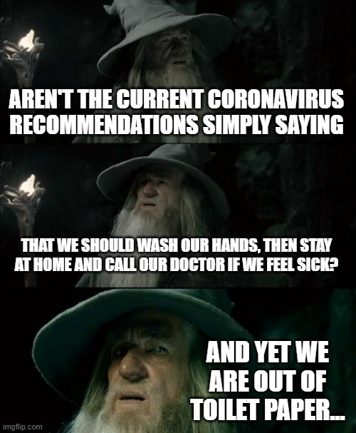 Confused Gandalf Meme | AREN'T THE CURRENT CORONAVIRUS RECOMMENDATIONS SIMPLY SAYING; THAT WE SHOULD WASH OUR HANDS, THEN STAY AT HOME AND CALL OUR DOCTOR IF WE FEEL SICK? AND YET WE ARE OUT OF TOILET PAPER... | image tagged in memes,confused gandalf | made w/ Imgflip meme maker