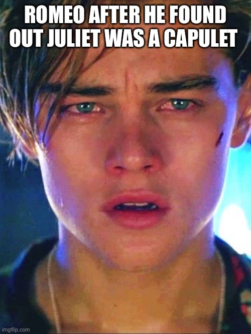 Romeo and Juliet meme | ROMEO AFTER HE FOUND OUT JULIET WAS A CAPULET | image tagged in romeo and juliet meme | made w/ Imgflip meme maker