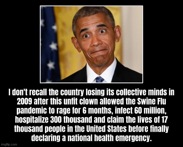 More inconvenient facts about the unqualified community organizer from the political crap hole of Chicago | image tagged in barack obama,swine flu,political,politics | made w/ Imgflip meme maker