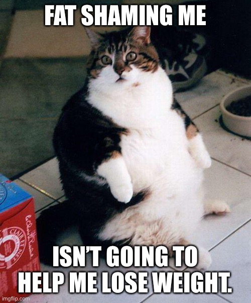 fat cat | FAT SHAMING ME; ISN’T GOING TO HELP ME LOSE WEIGHT. | image tagged in fat cat | made w/ Imgflip meme maker