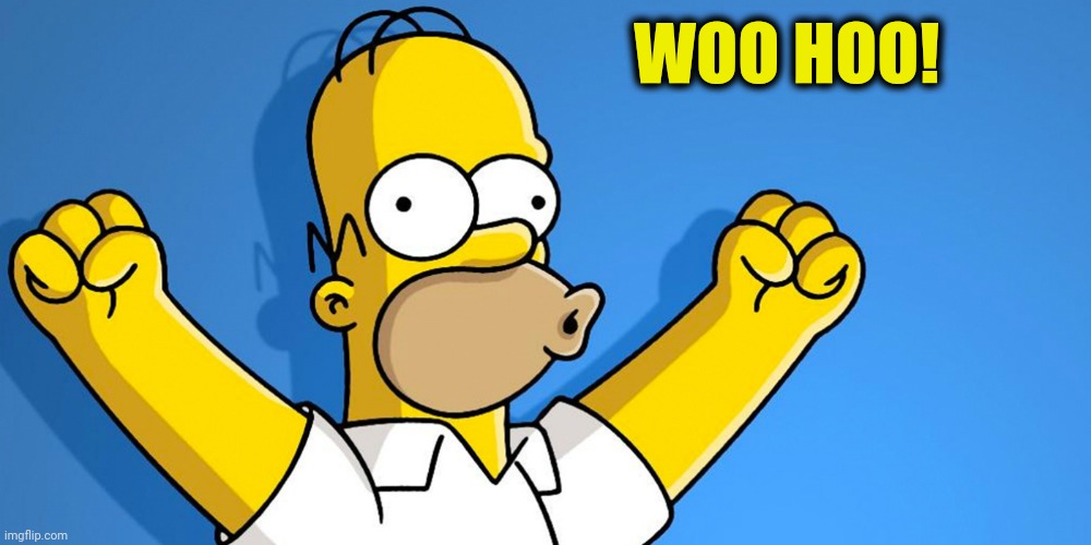 Woo Hoo | WOO HOO! | image tagged in woo hoo | made w/ Imgflip meme maker