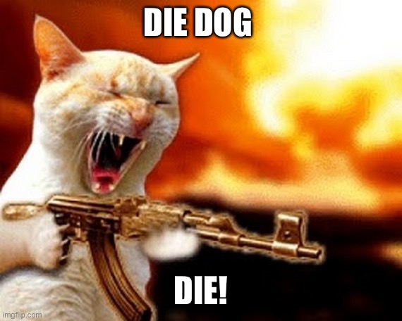 machine gun cat | DIE DOG; DIE! | image tagged in machine gun cat | made w/ Imgflip meme maker