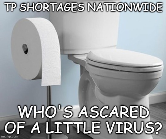 TP Shortage | TP SHORTAGES NATIONWIDE; WHO'S ASCARED OF A LITTLE VIRUS? | image tagged in tp,toilet paper,toilet paper shortage,coronavirus,corona wipe | made w/ Imgflip meme maker