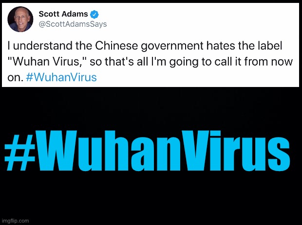 I understand the Chinese government hates the label “Wuhan Virus,” so that’s all I’m going to call it from now on. #WuhanVirus | #WuhanVirus | image tagged in wuhan virus,covid-19,coronavirus,ConservativeMemes | made w/ Imgflip meme maker