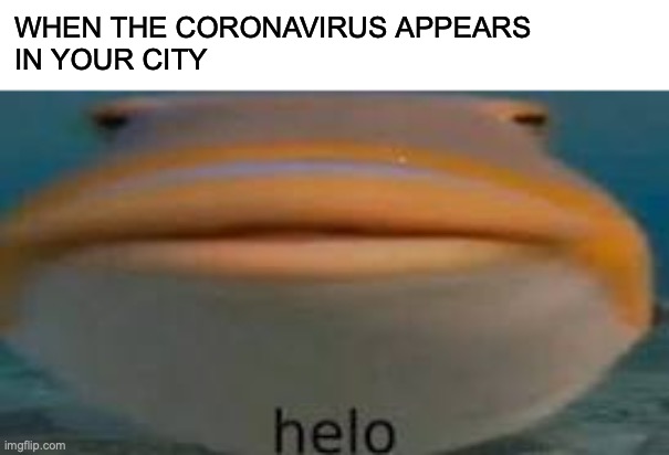 Helo Corona | WHEN THE CORONAVIRUS APPEARS
IN YOUR CITY | image tagged in helo,coronavirus,funny,memes,covid-19 | made w/ Imgflip meme maker