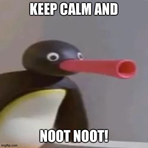 NOOT NOOT | KEEP CALM AND; NOOT NOOT! | image tagged in noot noot | made w/ Imgflip meme maker